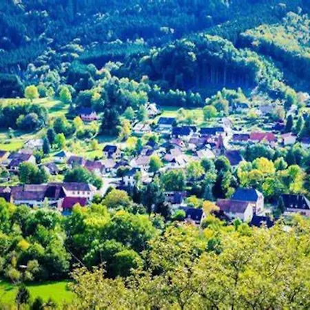 Cosy Pour 2 A 4 Personnes, Village Proche Mulhouse Apartment Burnhaupt-le-Bas