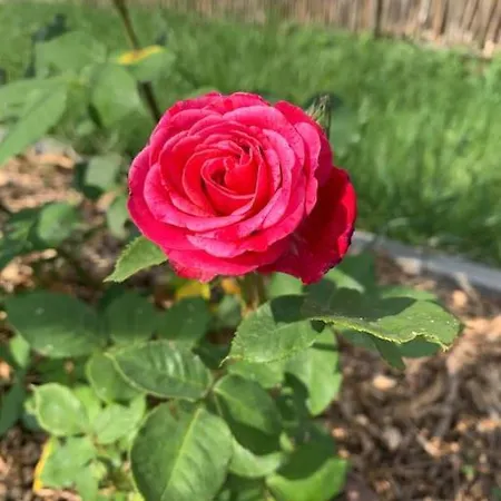 Cosy Pour 2 A 4 Personnes Soit 1 Ou 2 Couples Ou 1 Couple Et 2 Enfants, Village Proche Mulhouse شقة