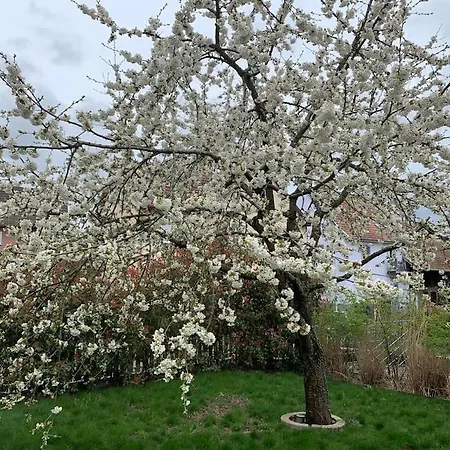 Cosy Pour 2 A 4 Personnes Soit 1 Ou 2 Couples Ou 1 Couple Et 2 Enfants, Village Proche Mulhouse Apartment Burnhaupt-le-Bas