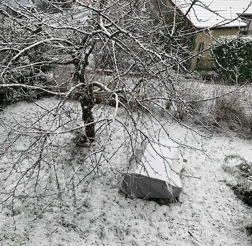 Cosy Pour 2 A 4 Personnes Soit 1 Ou 2 Couples Ou 1 Couple Et 2 Enfants, Village Proche Mulhouse Burnhaupt-le-Bas