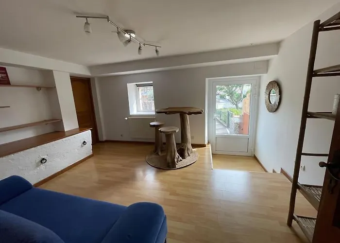 Cosy Pour 2 A 4 Personnes Soit 1 Ou 2 Couples Ou 1 Couple Et 2 Enfants, Village Proche Mulhouse *