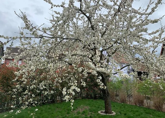 Cosy Pour 2 A 4 Personnes Soit 1 Ou 2 Couples Ou 1 Couple Et 2 Enfants, Village Proche Mulhouse Apartment Burnhaupt-le-Bas